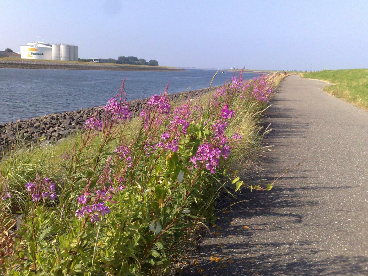 Middensluis Vakantiehuis Wemeldinge Ngoại thất bức ảnh